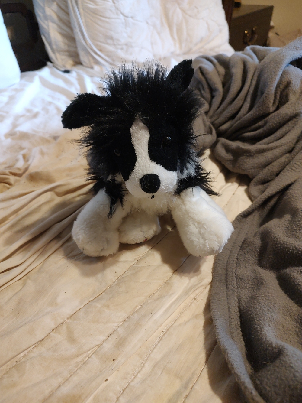 Retired Border Collie Webkinz